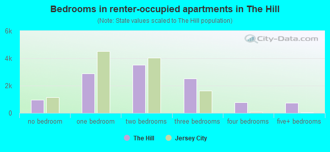 Bedrooms in renter-occupied apartments in The Hill