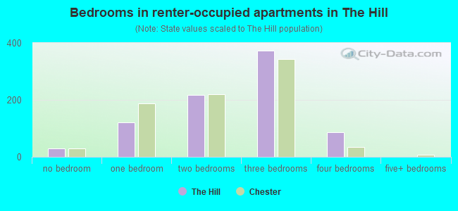 Bedrooms in renter-occupied apartments in The Hill