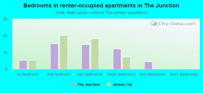 Bedrooms in renter-occupied apartments in The Junction