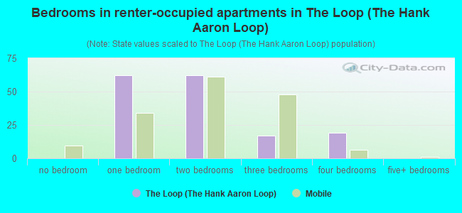 Bedrooms in renter-occupied apartments in The Loop (The Hank Aaron Loop)