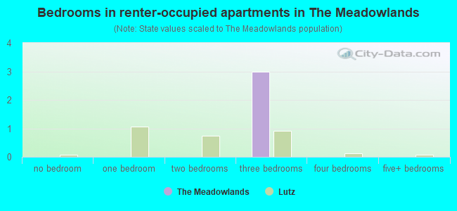Bedrooms in renter-occupied apartments in The Meadowlands