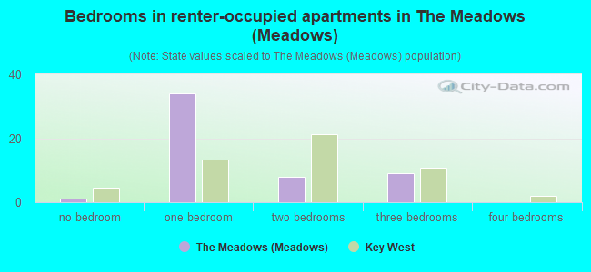 Bedrooms in renter-occupied apartments in The Meadows (Meadows)