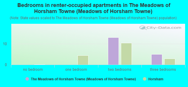 Bedrooms in renter-occupied apartments in The Meadows of Horsham Towne (Meadows of Horsham Towne)