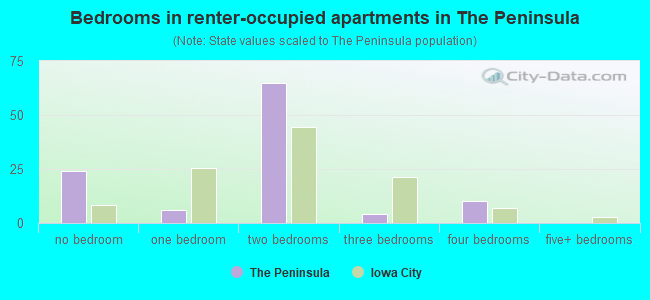 Bedrooms in renter-occupied apartments in The Peninsula