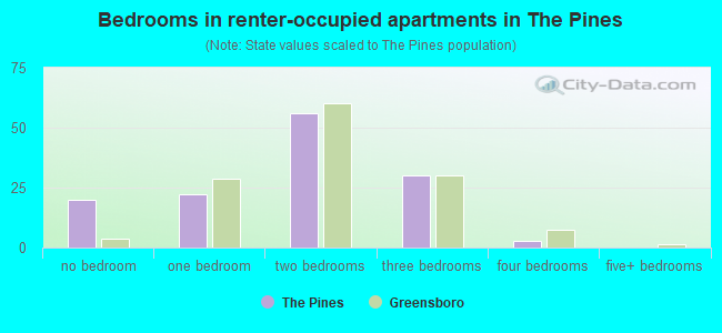 Bedrooms in renter-occupied apartments in The Pines