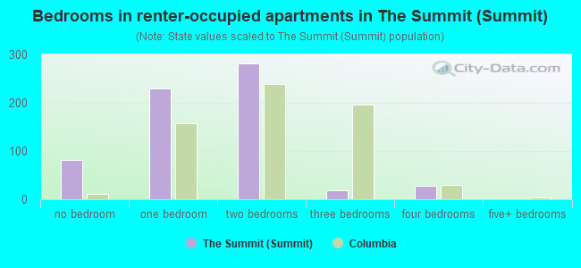 Bedrooms in renter-occupied apartments in The Summit (Summit)
