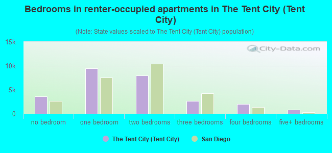 Bedrooms in renter-occupied apartments in The Tent City (Tent City)