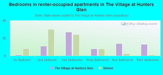 Bedrooms in renter-occupied apartments in The Village at Hunters Glen