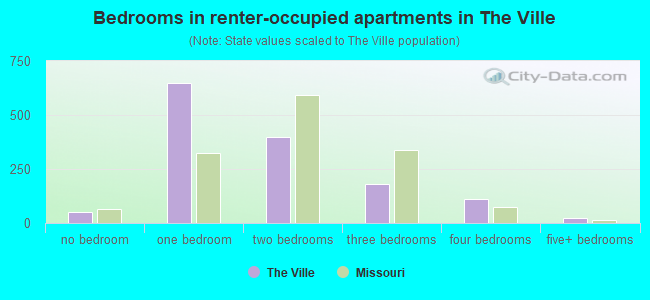 Bedrooms in renter-occupied apartments in The Ville
