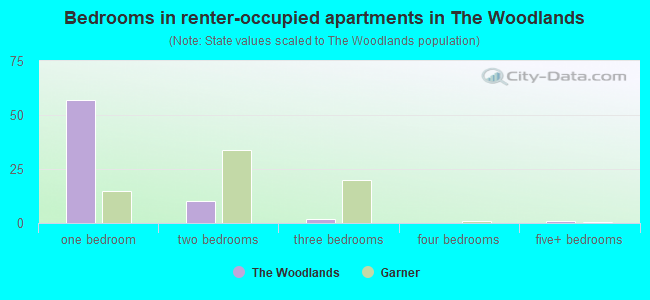 Bedrooms in renter-occupied apartments in The Woodlands
