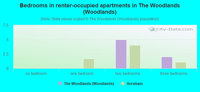 Bedrooms in renter-occupied apartments in The Woodlands (Woodlands)