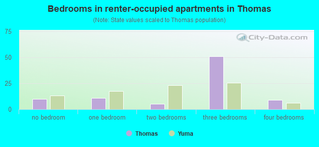 Bedrooms in renter-occupied apartments in Thomas