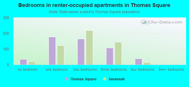 Bedrooms in renter-occupied apartments in Thomas Square