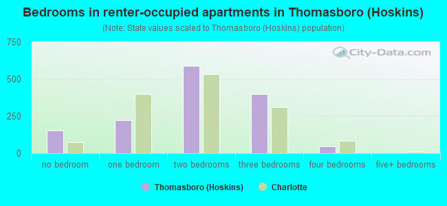 Bedrooms in renter-occupied apartments in Thomasboro (Hoskins)