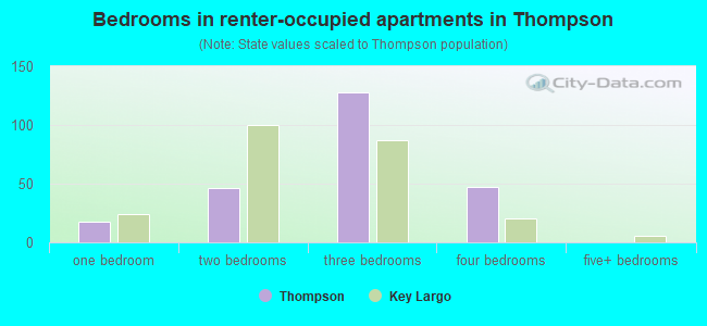 Bedrooms in renter-occupied apartments in Thompson