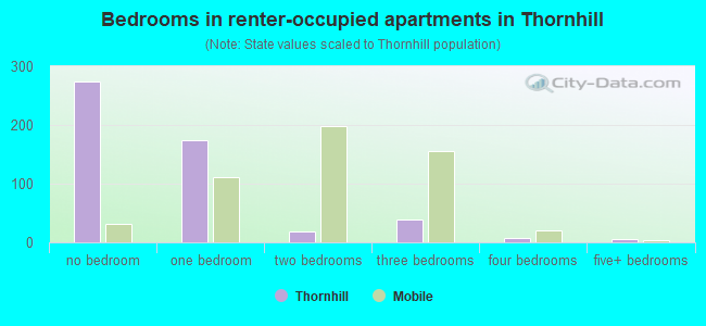 Bedrooms in renter-occupied apartments in Thornhill