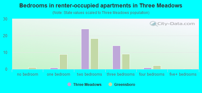Bedrooms in renter-occupied apartments in Three Meadows