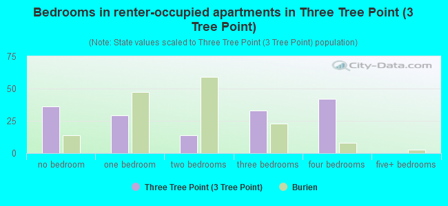 Bedrooms in renter-occupied apartments in Three Tree Point (3 Tree Point)