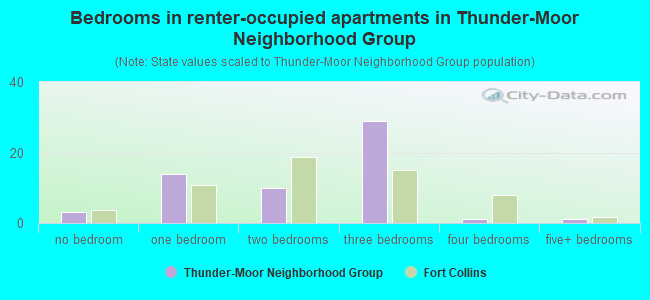 Bedrooms in renter-occupied apartments in Thunder-Moor Neighborhood Group