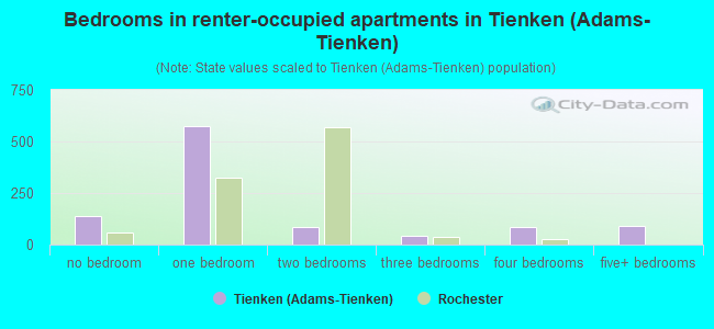 Bedrooms in renter-occupied apartments in Tienken (Adams-Tienken)