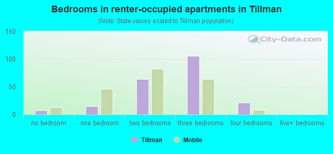 Bedrooms in renter-occupied apartments in Tillman