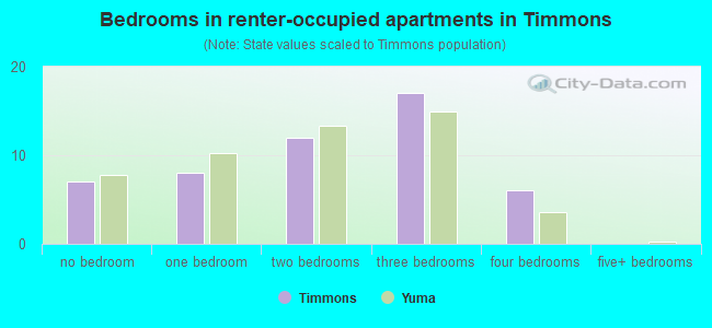 Bedrooms in renter-occupied apartments in Timmons
