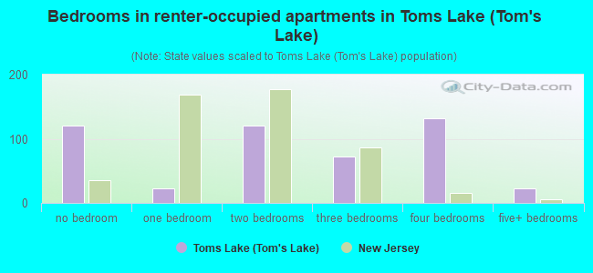 Bedrooms in renter-occupied apartments in Toms Lake (Tom's Lake)