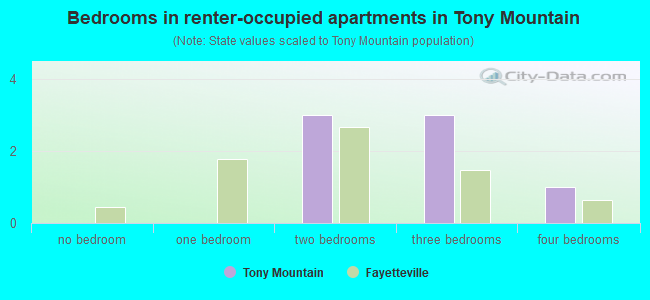 Bedrooms in renter-occupied apartments in Tony Mountain