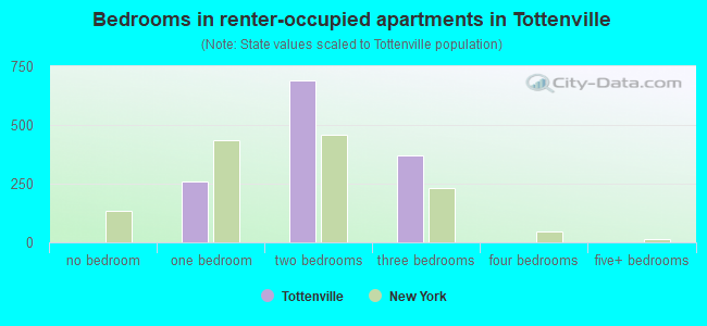 Bedrooms in renter-occupied apartments in Tottenville