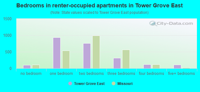 Bedrooms in renter-occupied apartments in Tower Grove East