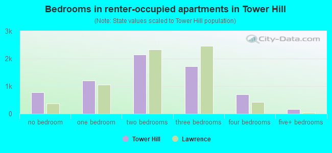 Bedrooms in renter-occupied apartments in Tower Hill