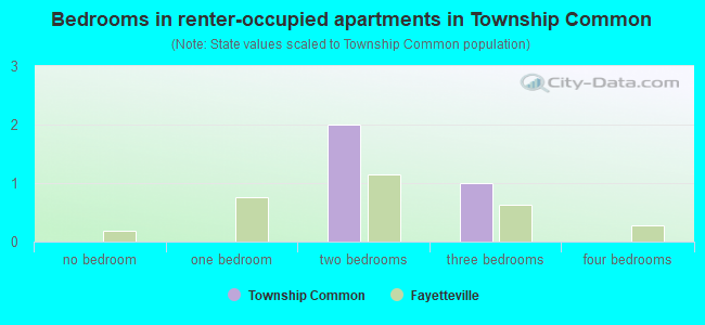 Bedrooms in renter-occupied apartments in Township Common