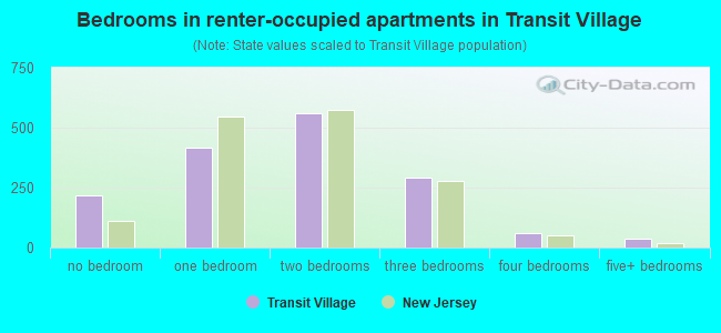 Bedrooms in renter-occupied apartments in Transit Village