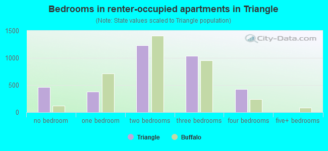 Bedrooms in renter-occupied apartments in Triangle