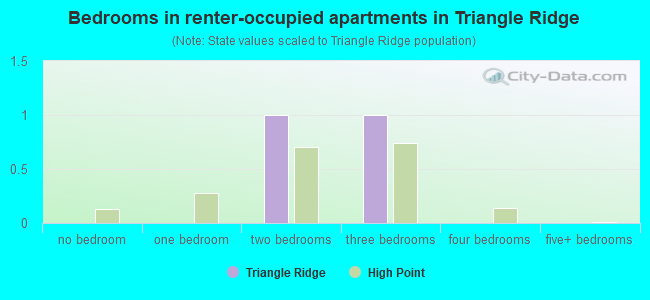 Bedrooms in renter-occupied apartments in Triangle Ridge