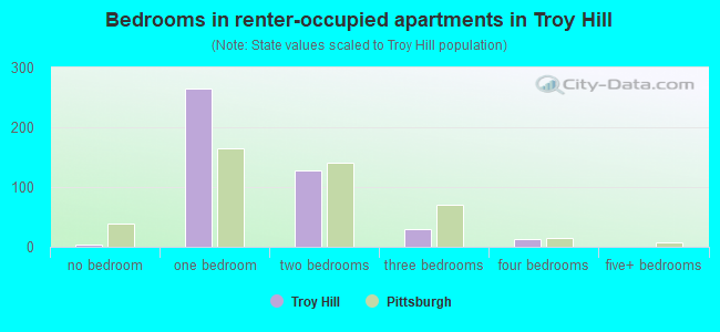 Bedrooms in renter-occupied apartments in Troy Hill