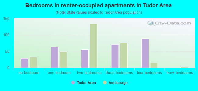 Bedrooms in renter-occupied apartments in Tudor Area