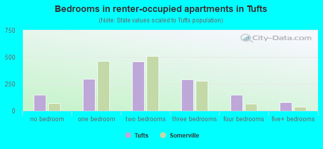Bedrooms in renter-occupied apartments in Tufts