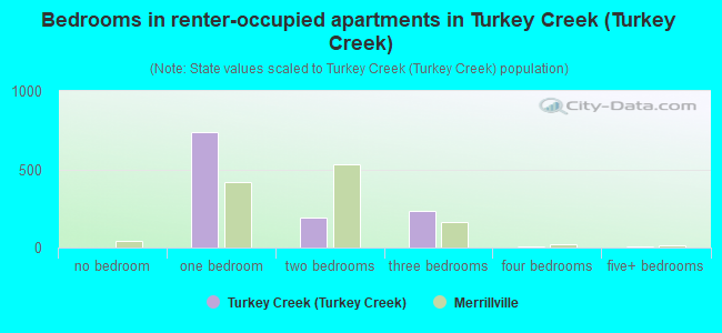 Bedrooms in renter-occupied apartments in Turkey Creek (Turkey Creek)