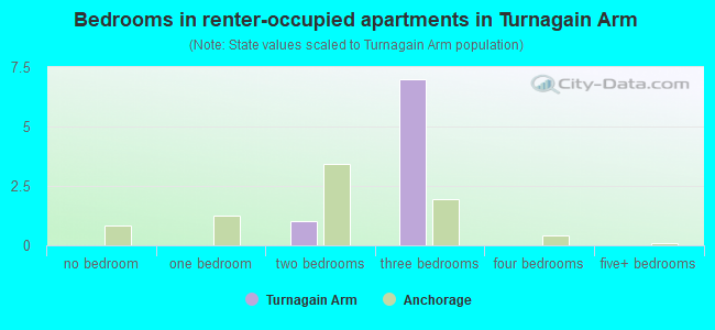 Bedrooms in renter-occupied apartments in Turnagain Arm