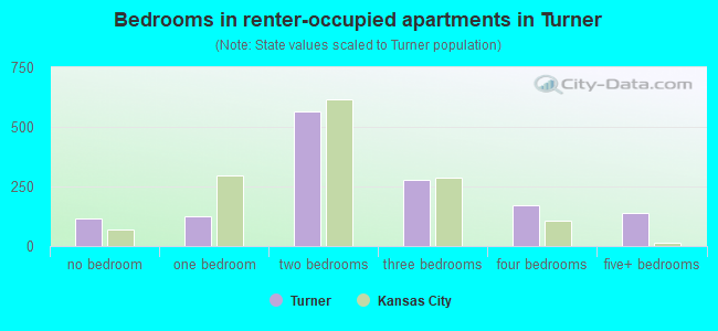 Bedrooms in renter-occupied apartments in Turner