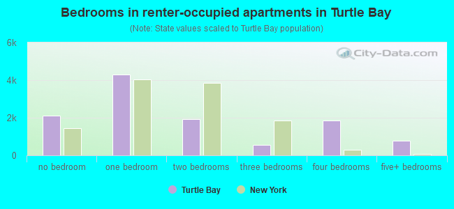 Bedrooms in renter-occupied apartments in Turtle Bay
