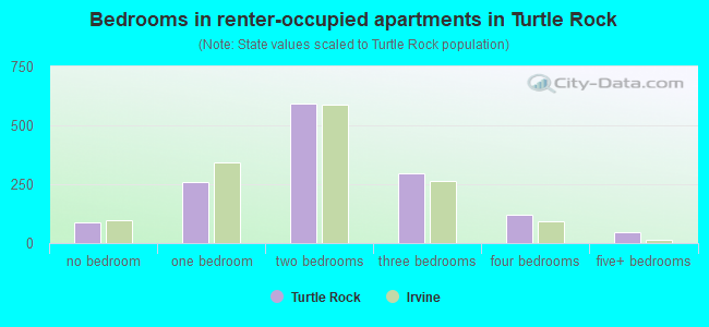 Bedrooms in renter-occupied apartments in Turtle Rock