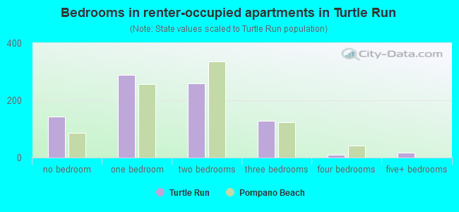 Bedrooms in renter-occupied apartments in Turtle Run