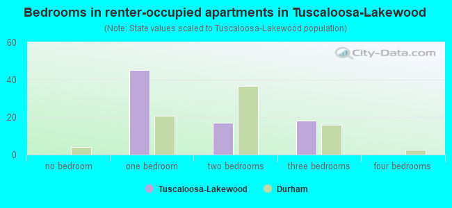 Bedrooms in renter-occupied apartments in Tuscaloosa-Lakewood