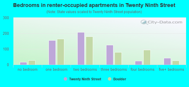 Bedrooms in renter-occupied apartments in Twenty Ninth Street