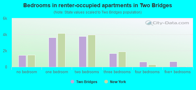 Bedrooms in renter-occupied apartments in Two Bridges