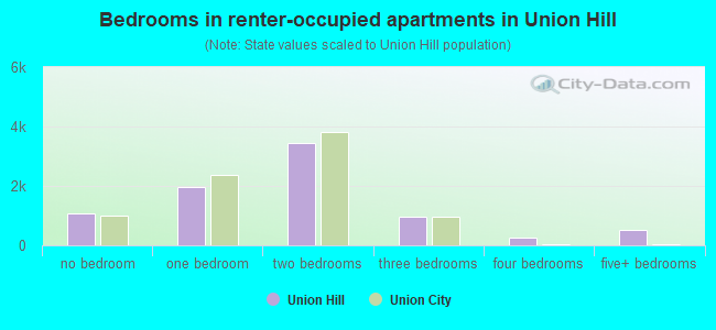 Bedrooms in renter-occupied apartments in Union Hill