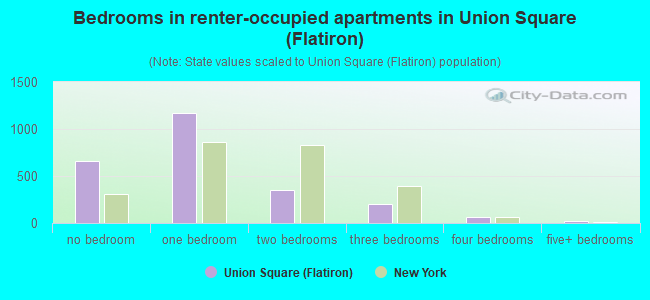 Bedrooms in renter-occupied apartments in Union Square (Flatiron)