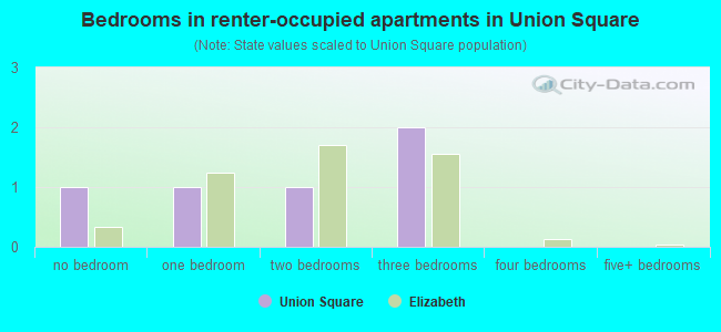 Bedrooms in renter-occupied apartments in Union Square